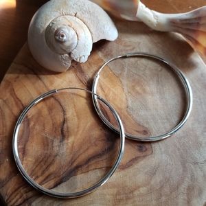 Simple Silver Plated Hoops Earrings